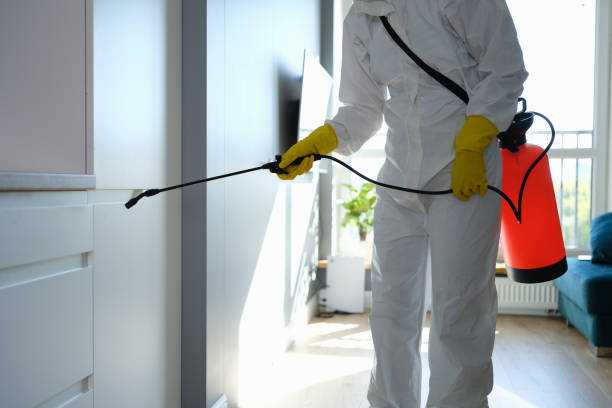 Mold Removal and Inspection in Syracuse, IN